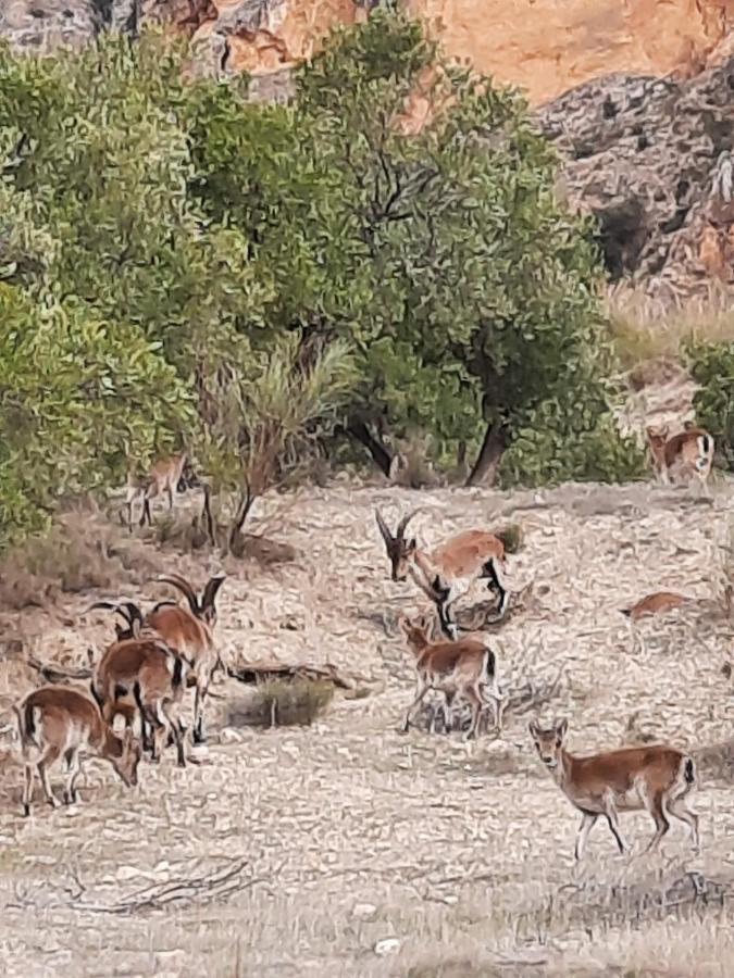 Cortijo El Chorreadero En Parque Natural Sierra De Cazorla Los Rosales  Екстериор снимка