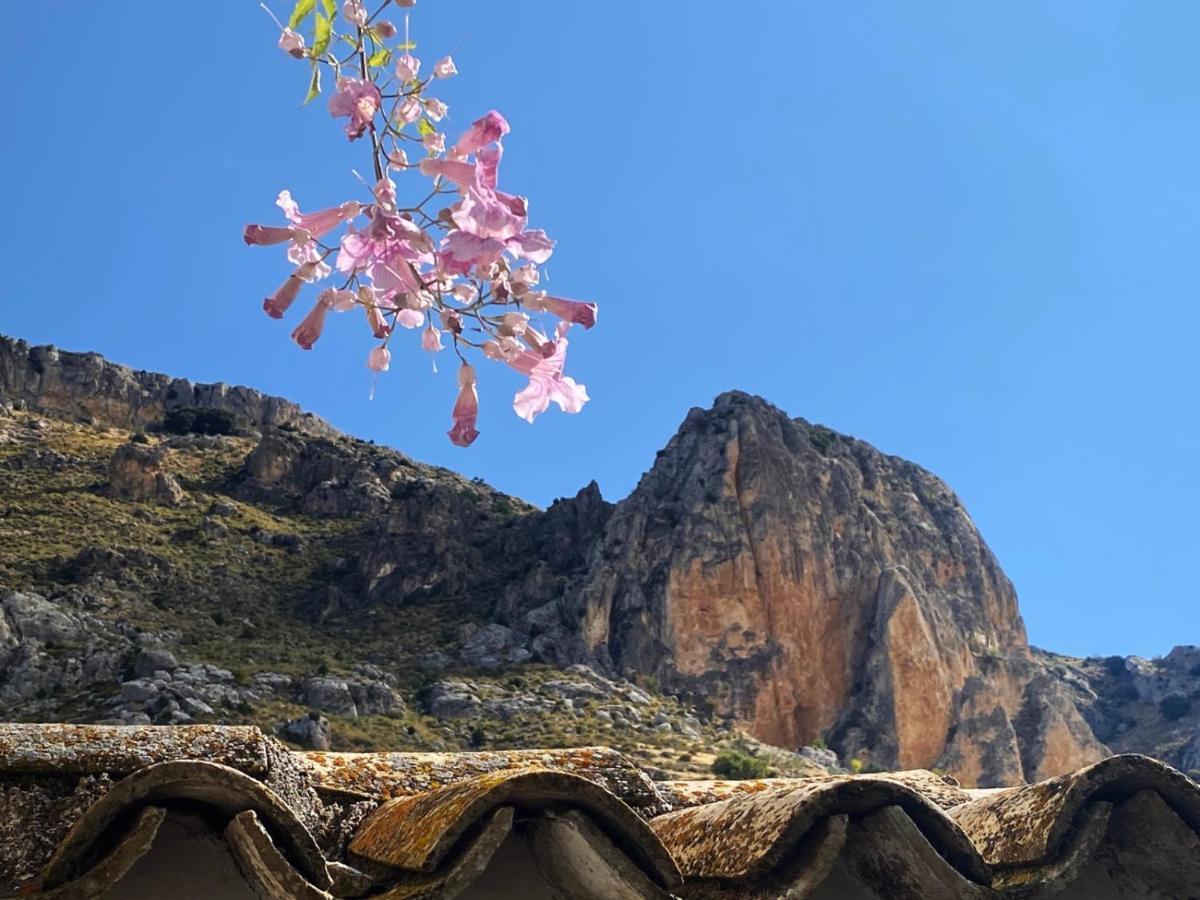 Cortijo El Chorreadero En Parque Natural Sierra De Cazorla Los Rosales  Екстериор снимка